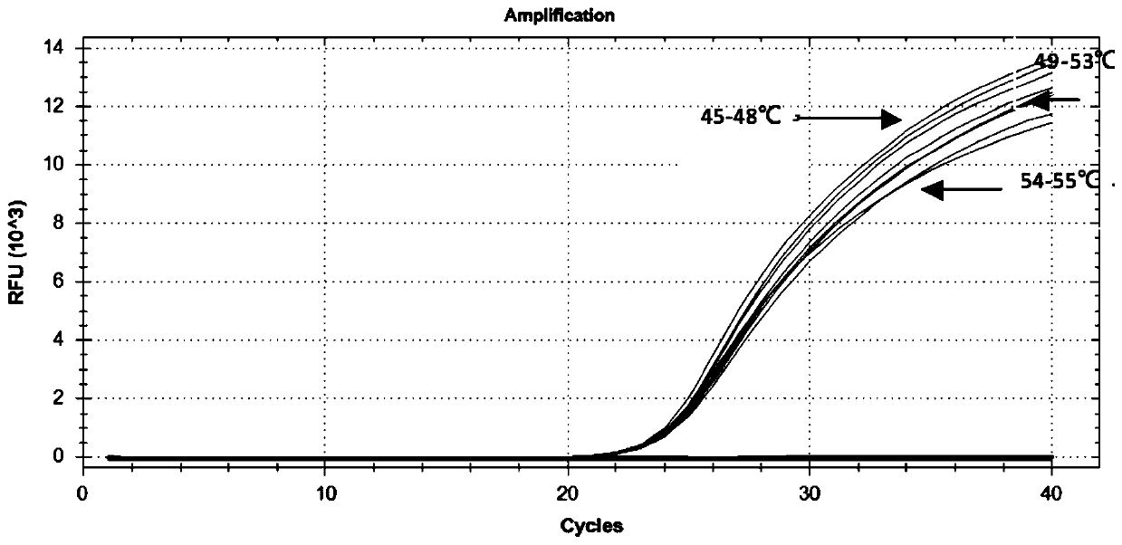 Nucleic acid composition for detecting virulence genes of helicobacter pylori, reagent and reagent kit including nucleic acid composition, and application of nucleic acid composition