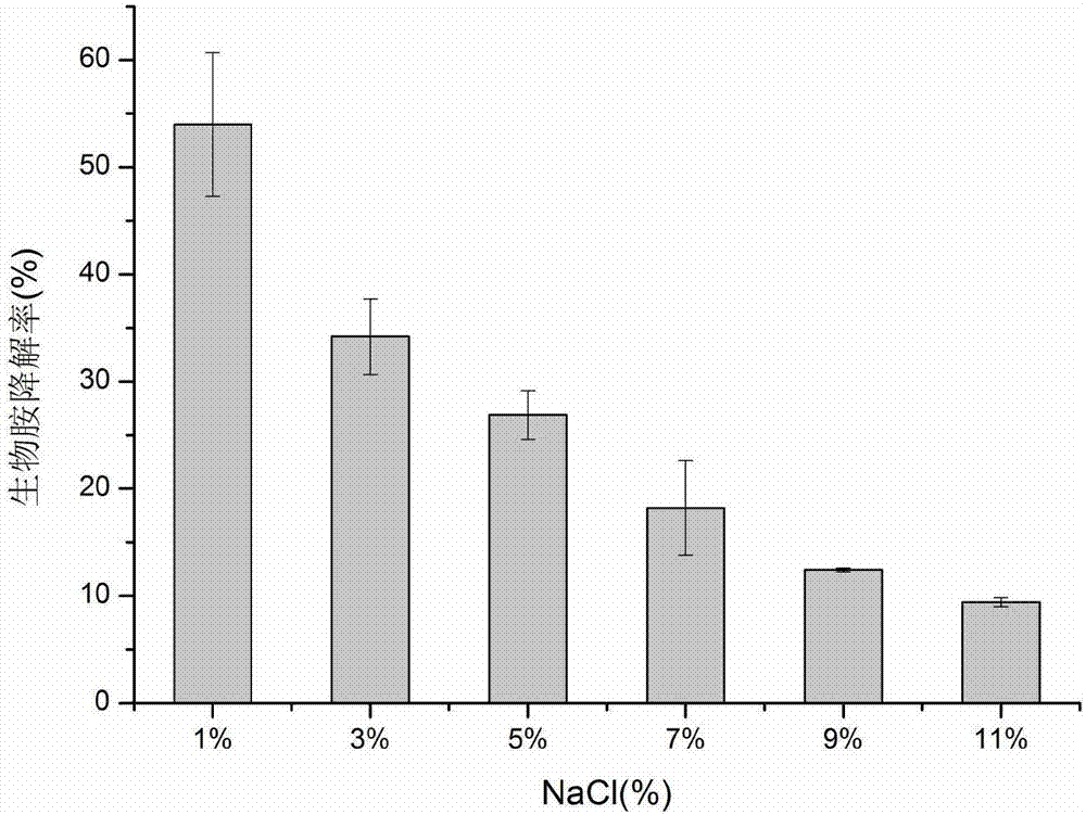 Bacillus amyloliquefaciens and application thereof in reducing biogenic amine