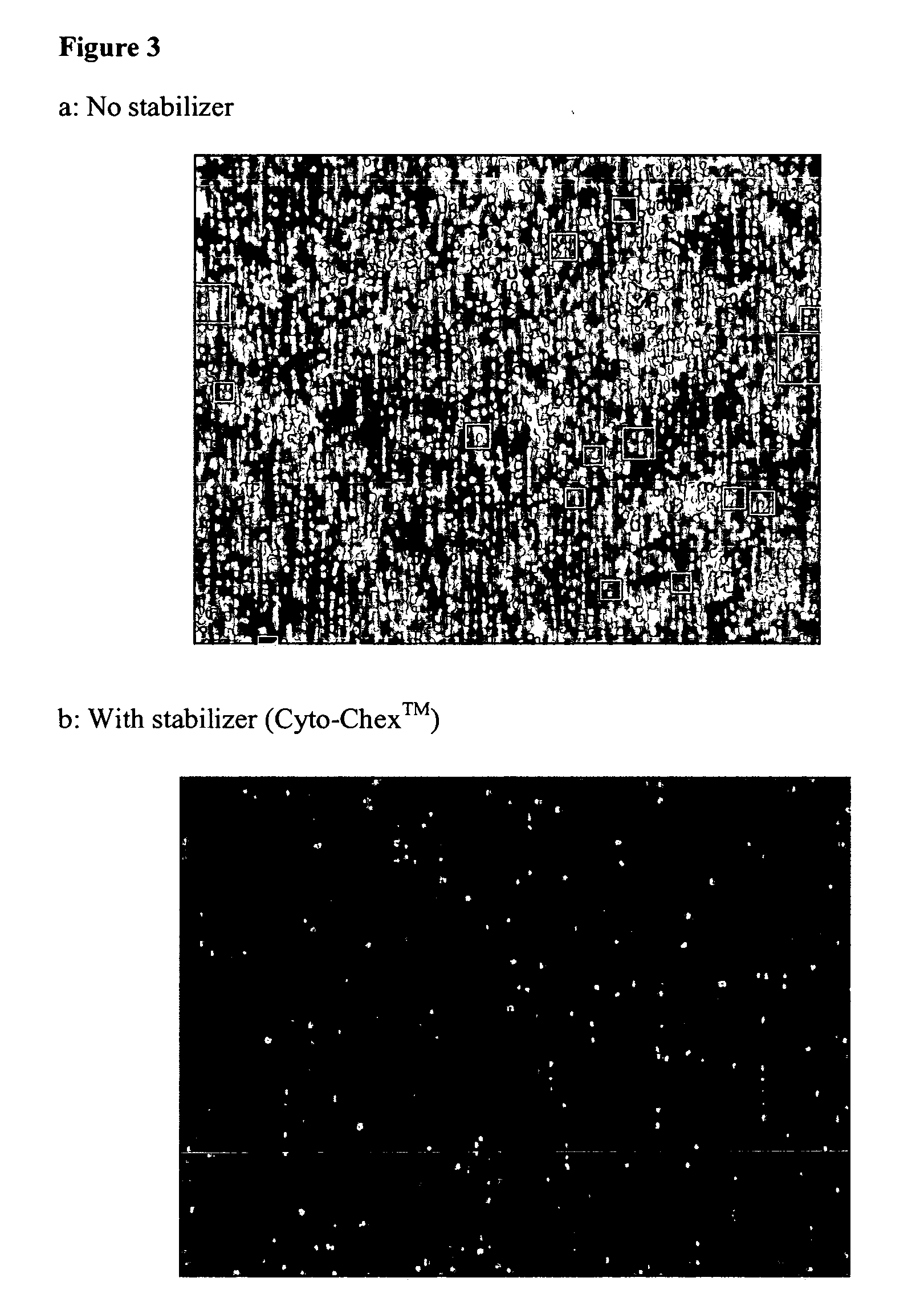 Stabilization of cells and biological specimens for analysis