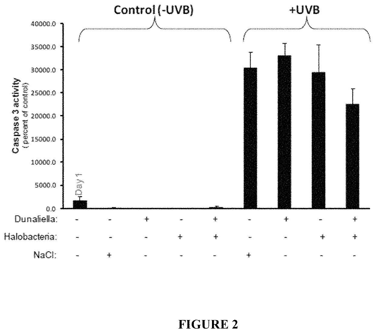 Topical Halobacteria extract composition for treating radiation skin tissue damage