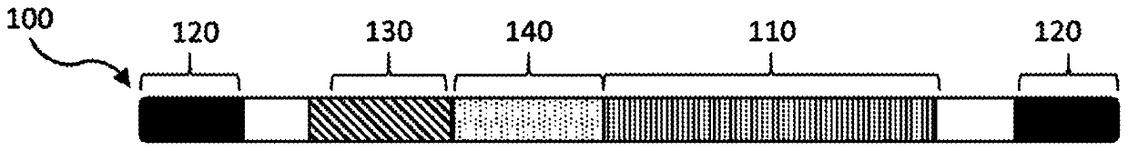 Compositions and methods of treating amyotrophic lateral sclerosis (ALS)