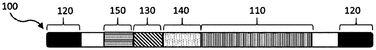 Compositions and methods of treating amyotrophic lateral sclerosis (ALS)