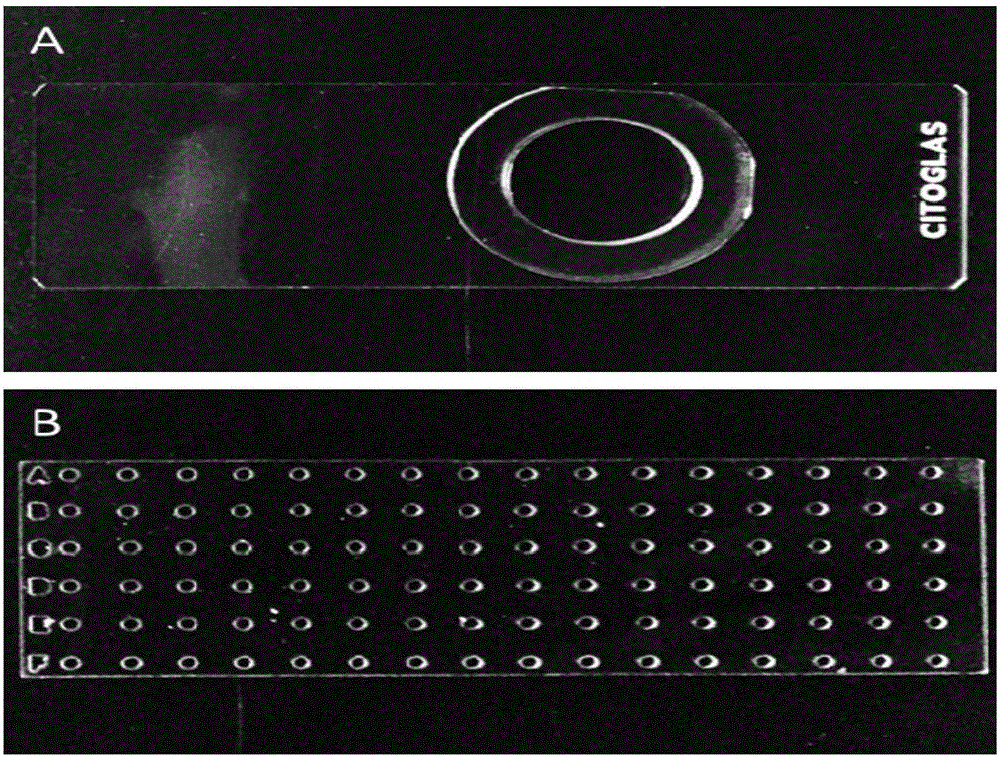 Method for preparing artificial microenvironment and application thereof