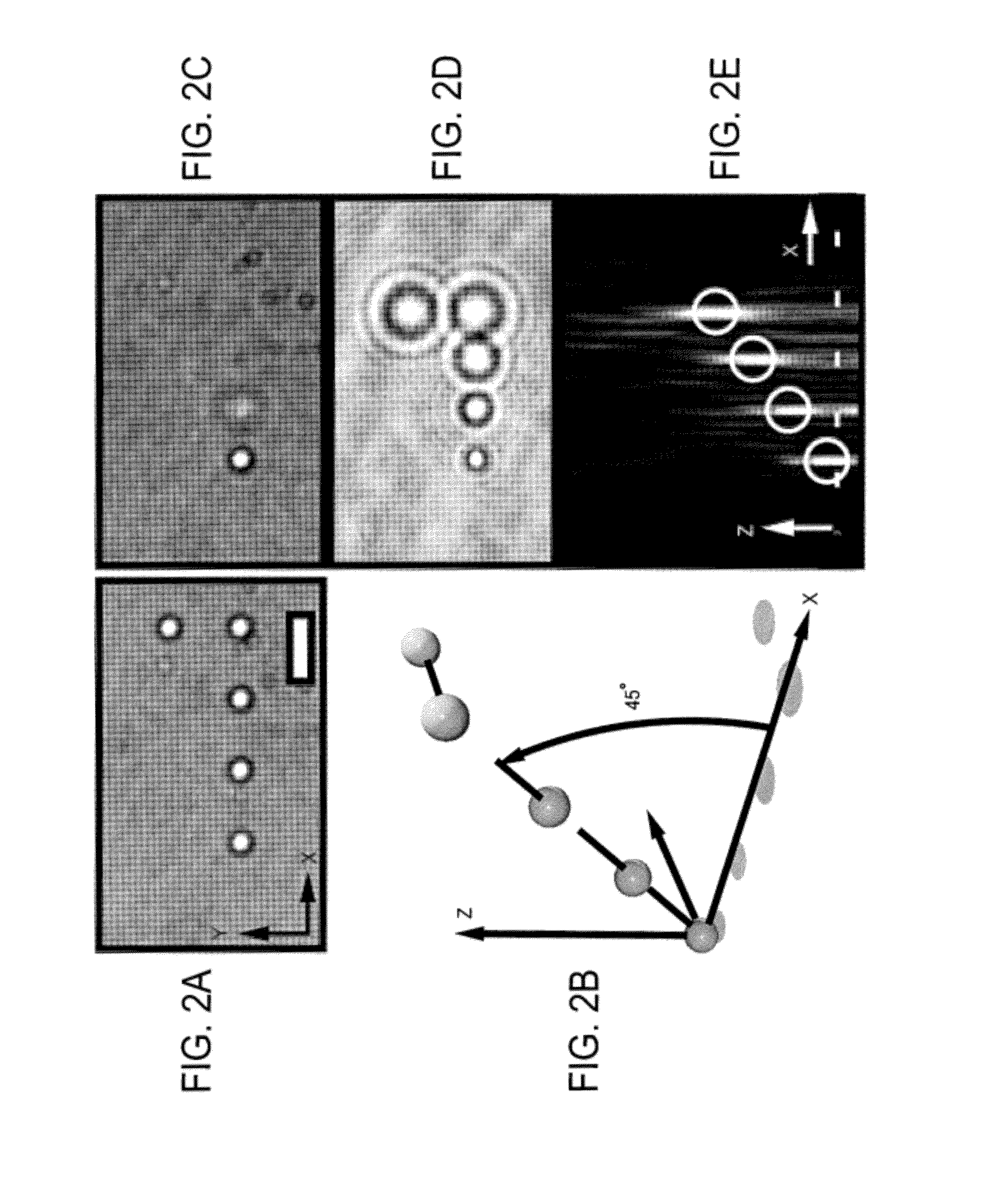 Holographic microscopy of holographically trapped three-dimensional nanorod structures