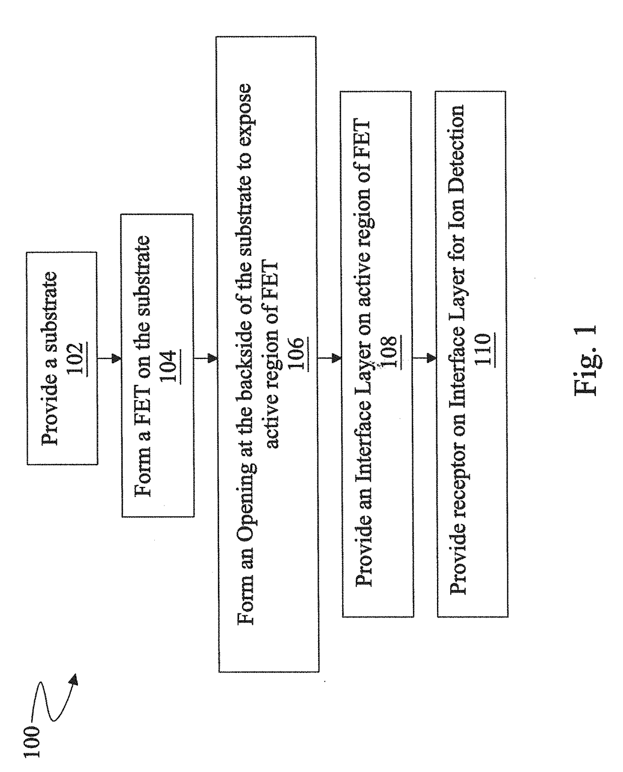 Signal Enhancement Mechanism For Dual-Gate ION Sensitive Field Effect Transistor In On-Chip Disease Diagnostic Platform