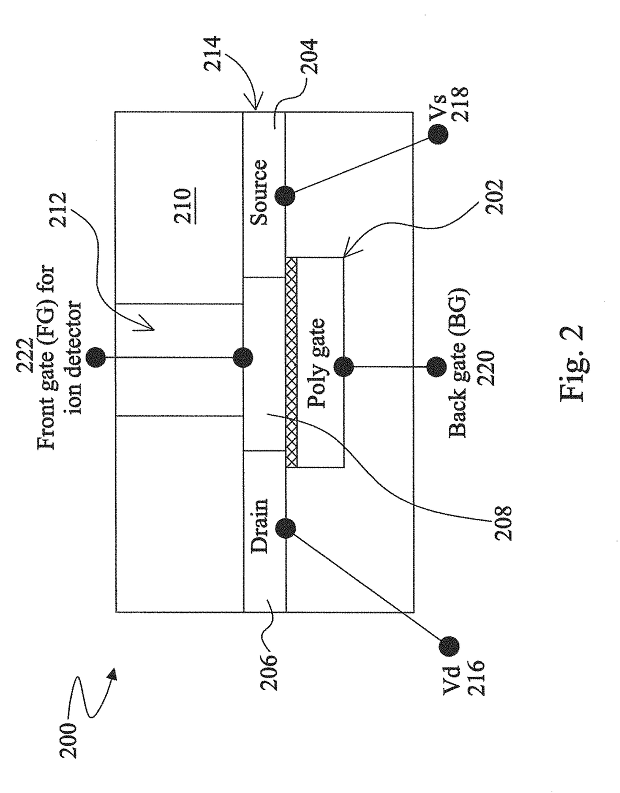 Signal Enhancement Mechanism For Dual-Gate ION Sensitive Field Effect Transistor In On-Chip Disease Diagnostic Platform