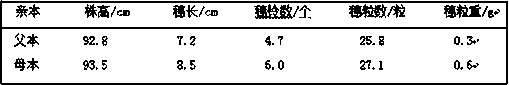 Oat crossbreeding method