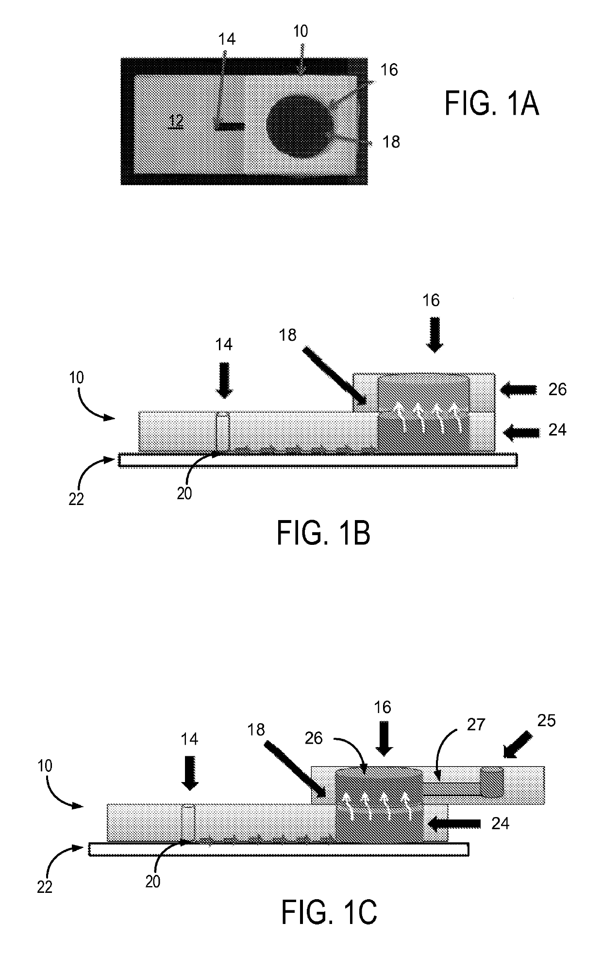 System and method for sperm sorting