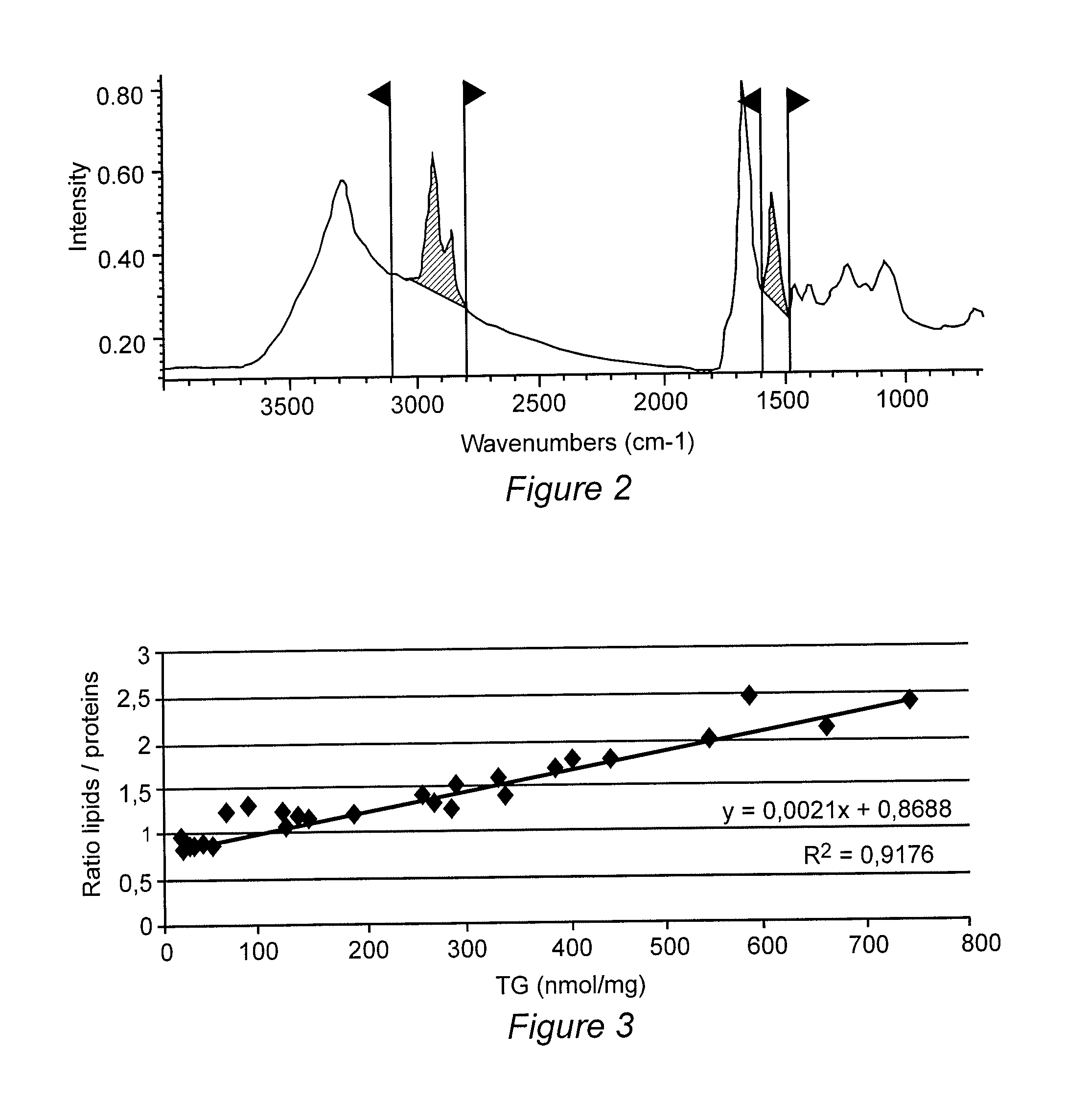 Method for measuring a biological value of a liver