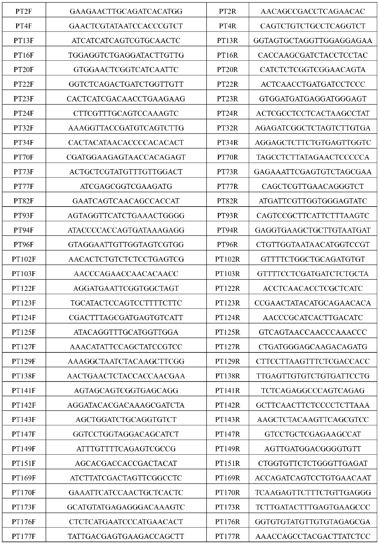 Primer set of wheat leaf rust est-ssr molecular marker and its detection method and application