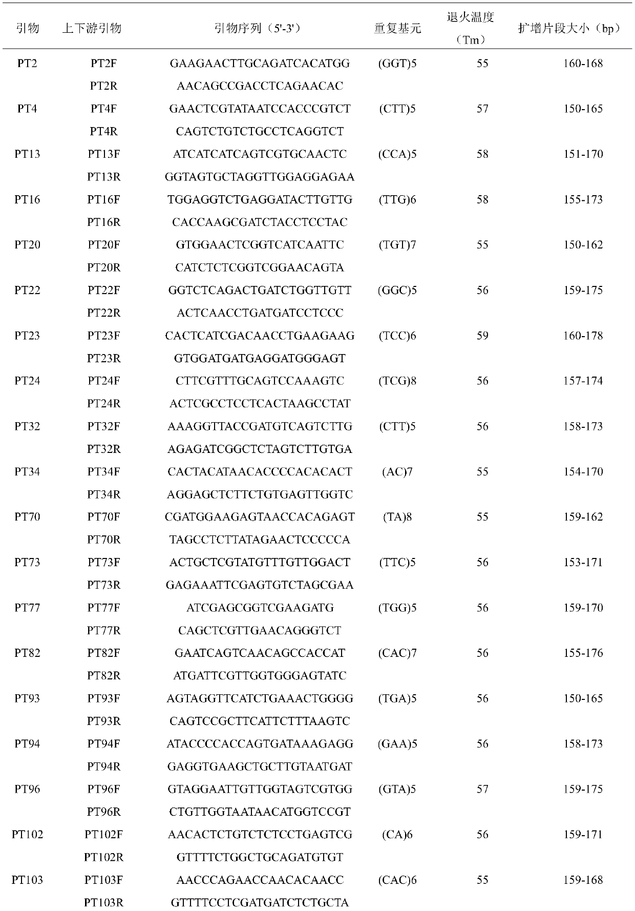 Primer set of wheat leaf rust est-ssr molecular marker and its detection method and application