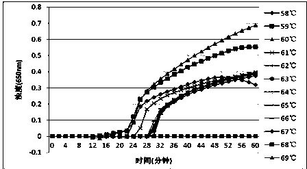 LAMP detection method for clostridium difficile AB toxins and special primer and kit thereof