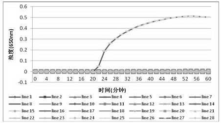 LAMP detection method for clostridium difficile AB toxins and special primer and kit thereof