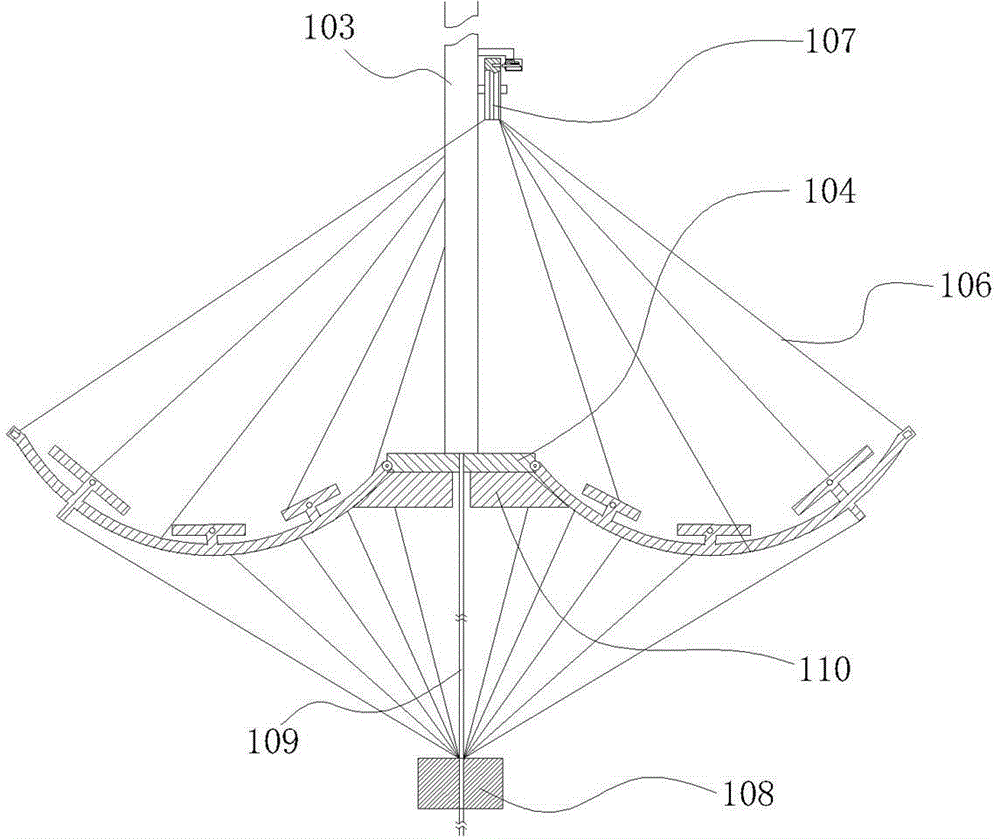 Algae reproduction device with seedling protecting function