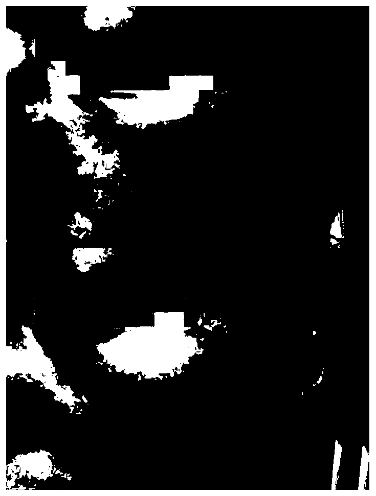 Bioactive sustained-release composition