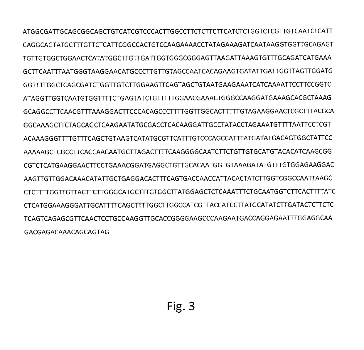 Engineering cyclopropane fatty acid accumulation in plants