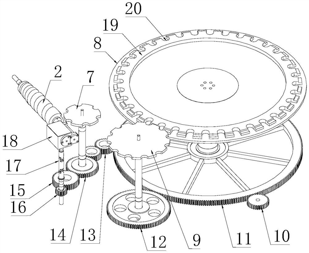 Bottle washing machine for large-diameter bottle