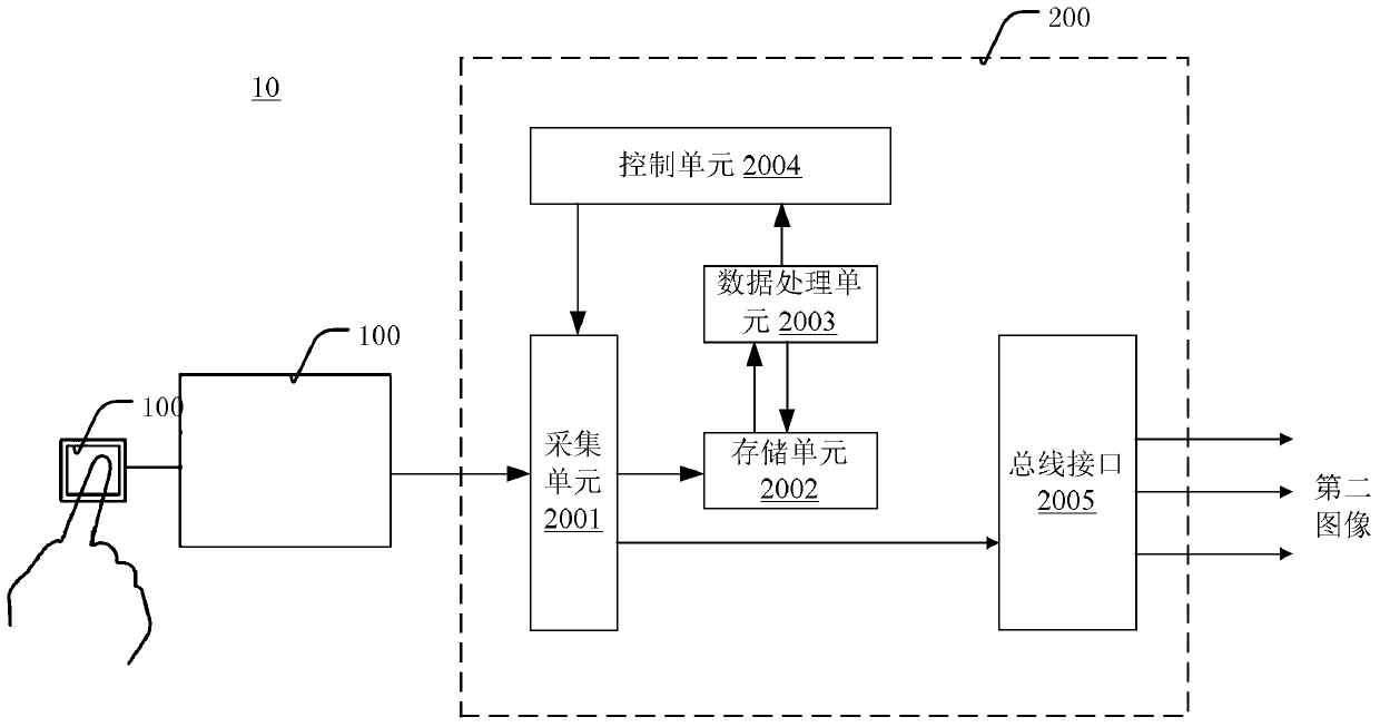 Biometric identification method, biometric identification device and detection system