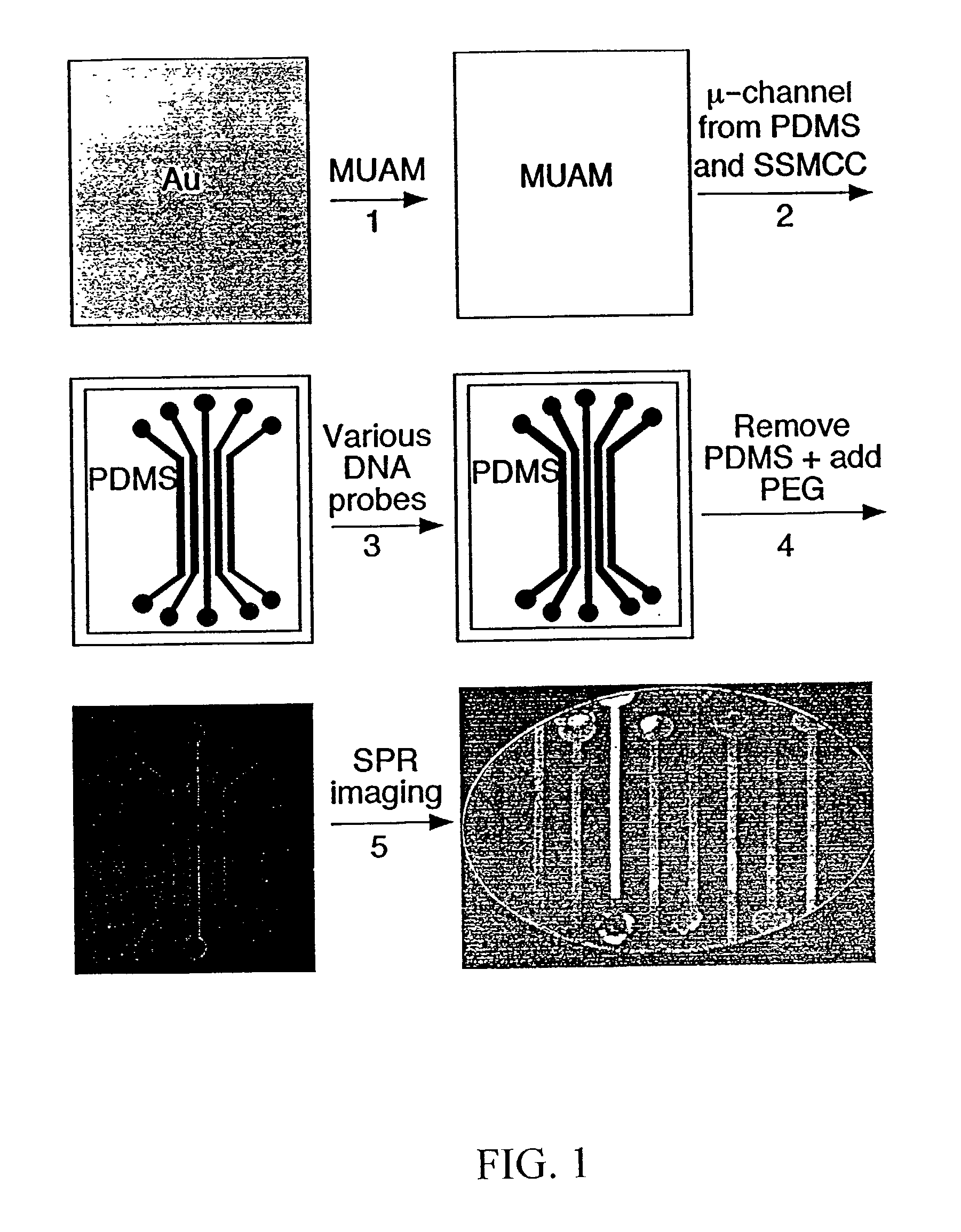 Surface plasmon resonance imaging of micro-arrays