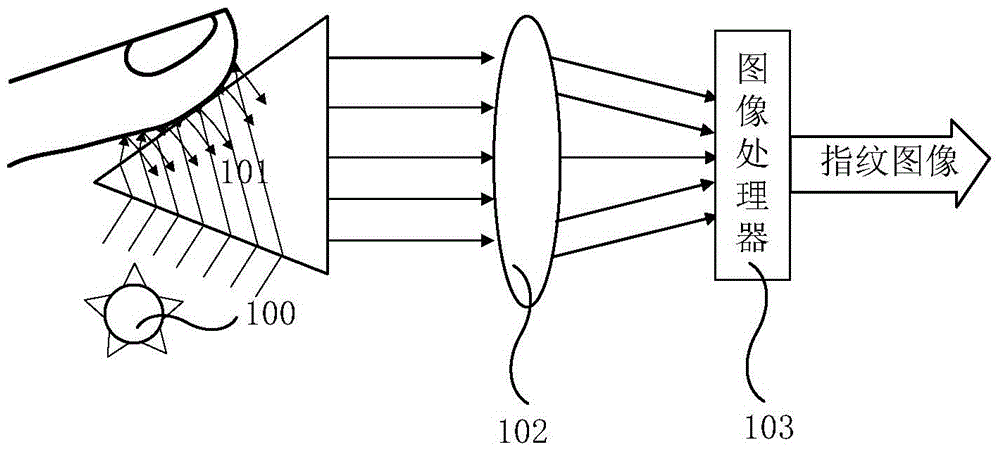 Fingerprint identification apparatus, manufacturing method for fingerprint identification apparatus, array substrate and display apparatus