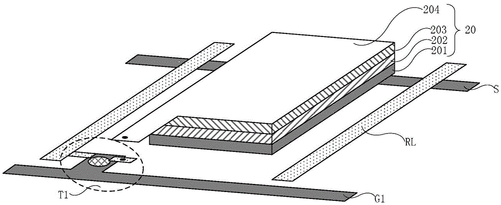 Fingerprint identification apparatus, manufacturing method for fingerprint identification apparatus, array substrate and display apparatus