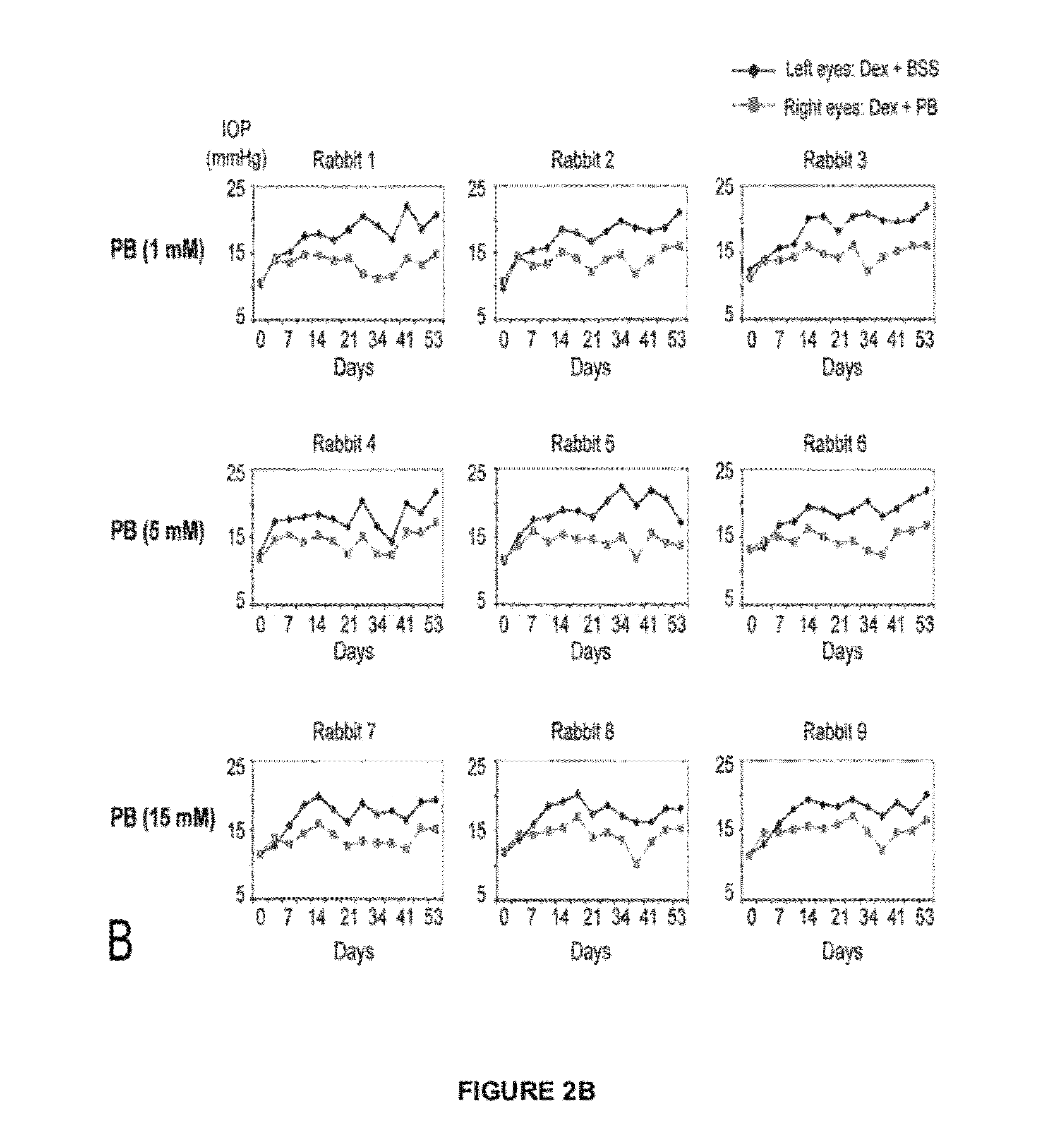 Method and medication for prevention and treatment of ocular hypertension and glaucoma