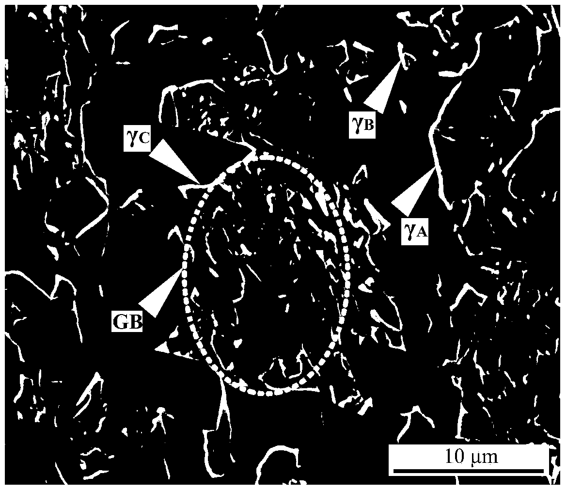 Vanadium-microalloyed hot-rolled transformation induced plasticity steel and preparation method