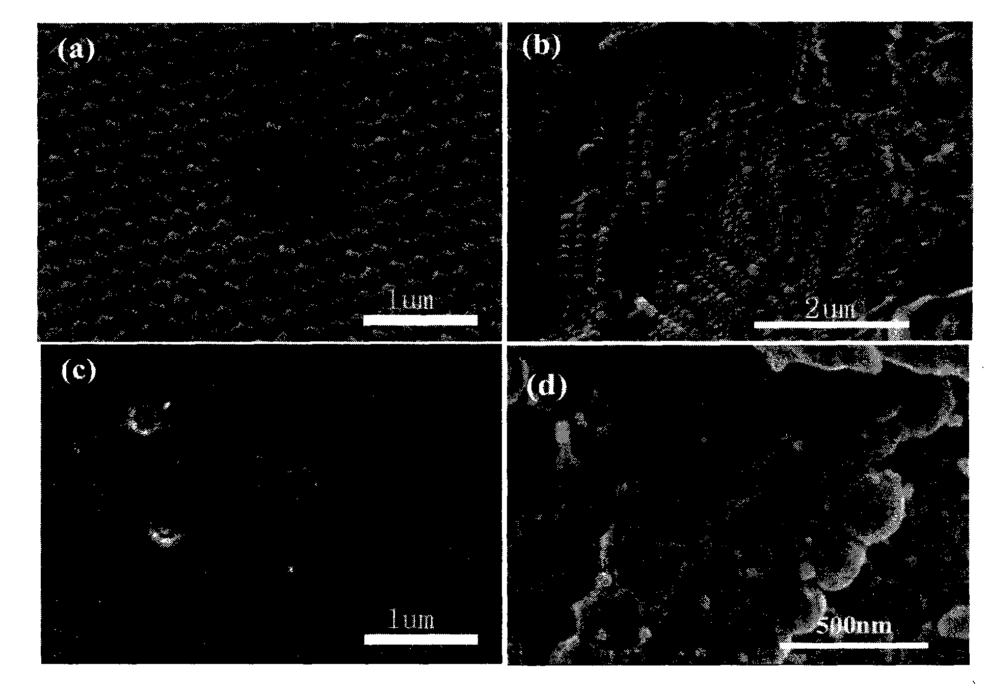 Method for producing photon crystal film for improving mechanical strength and solvent resistance