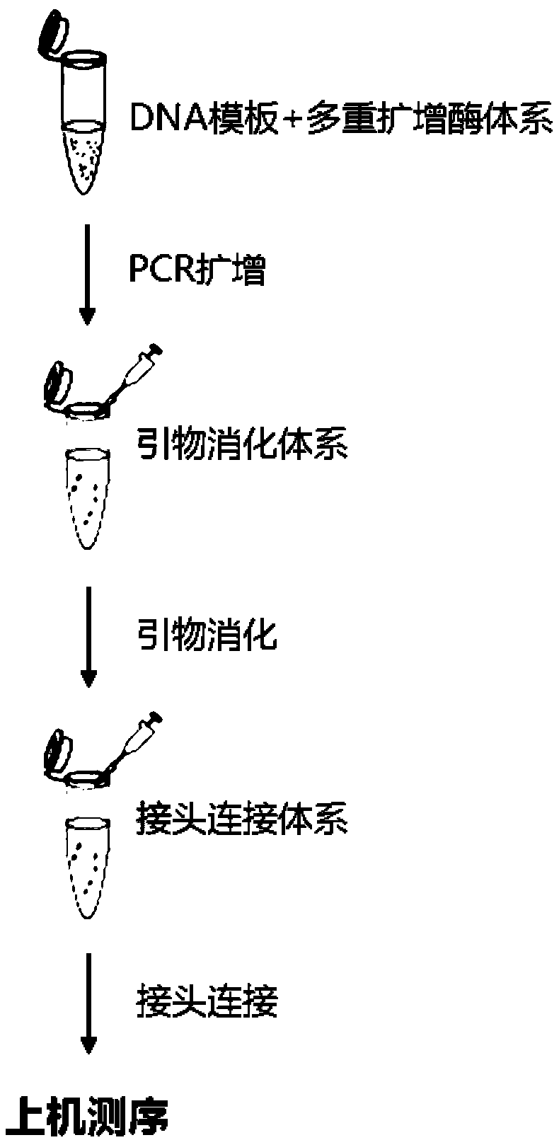 Multi-amplification database building method for trace DNA and special kit