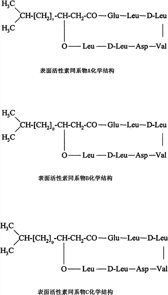 Bio-control bacillus subtilis surfactin separation and purification method