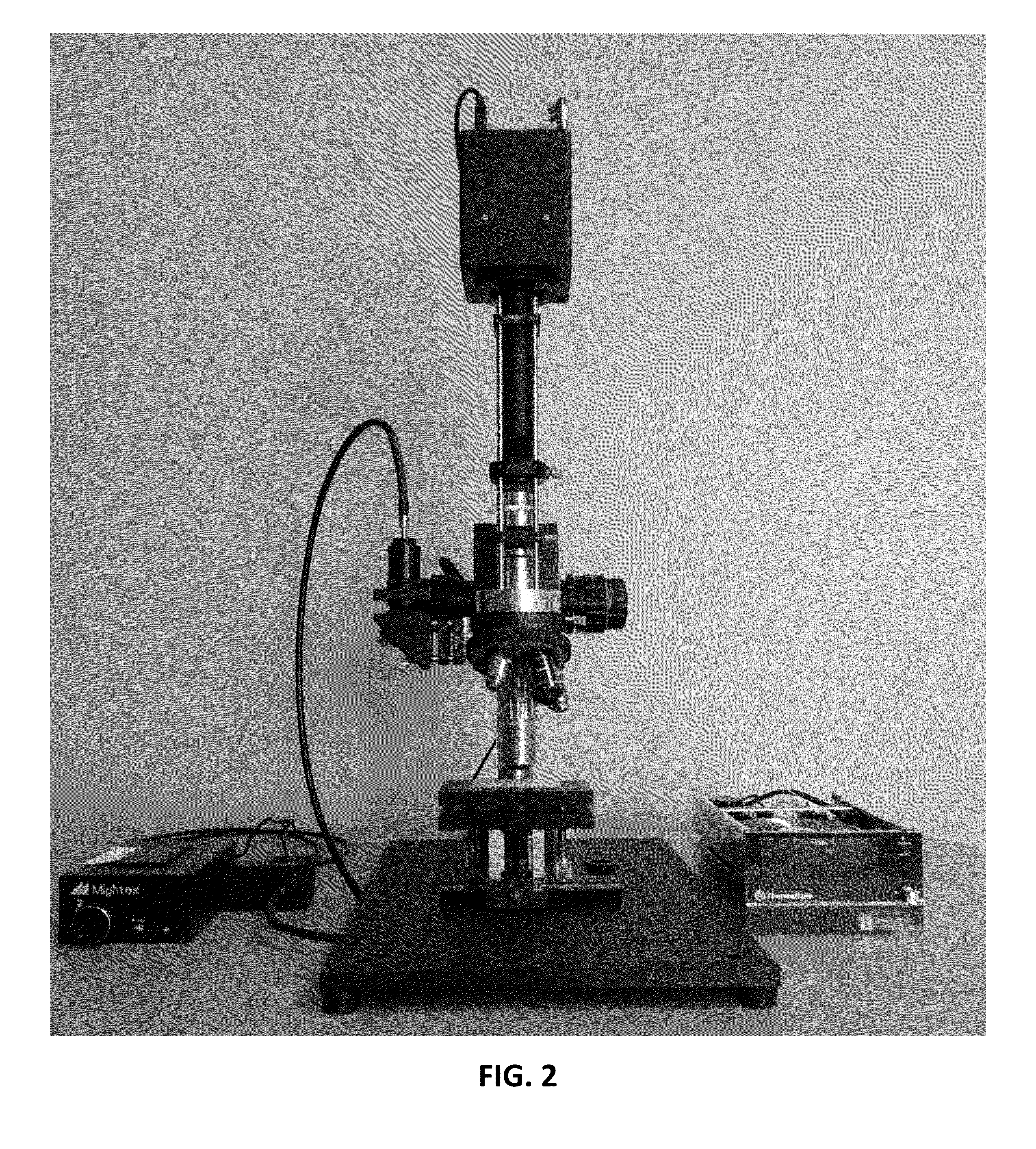 Imaging System And Method For Multi-Scale Three-Dimensional Deformation Or Profile Output