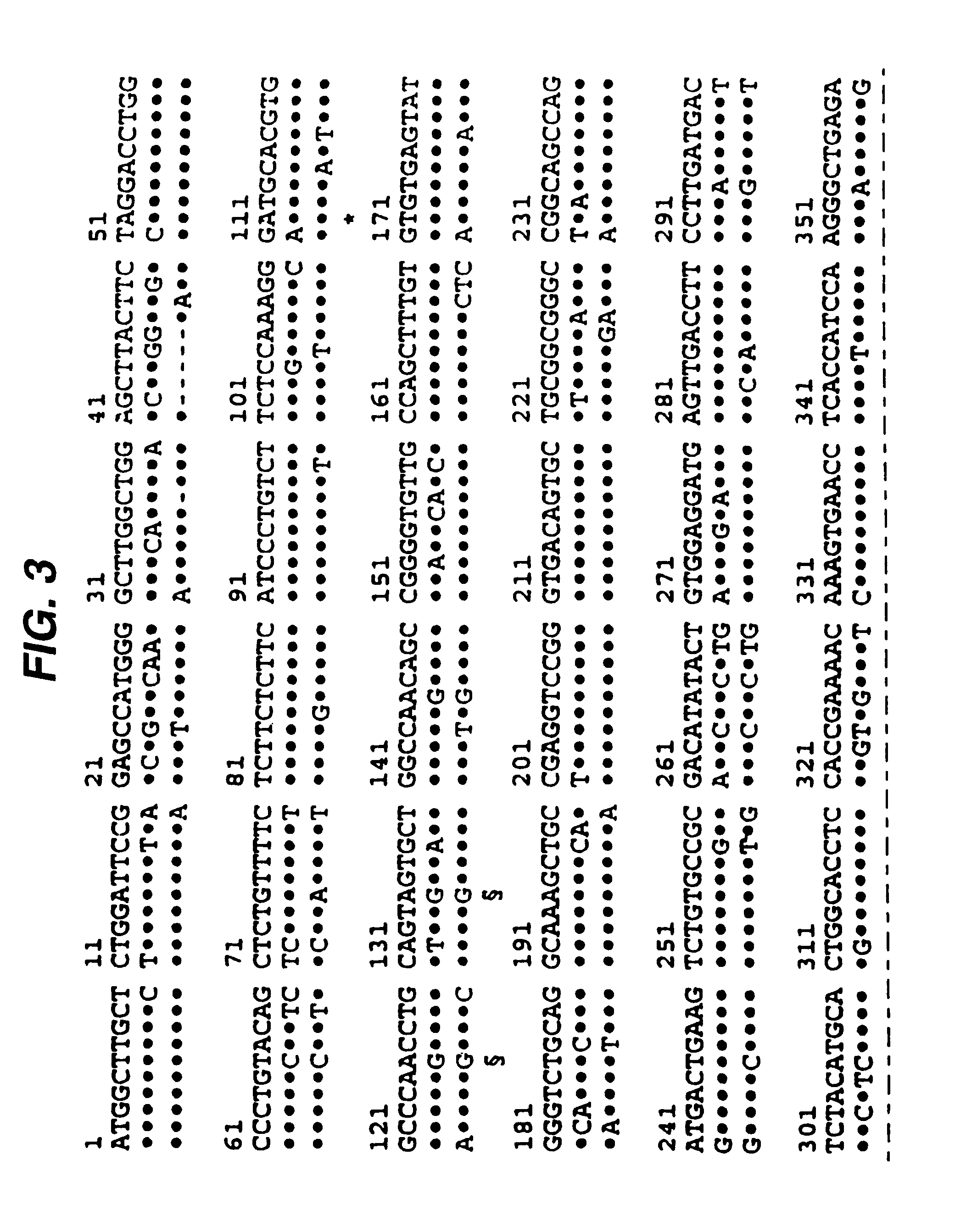 Porcine CTLA-4 for xenograft-specific immunosuppression