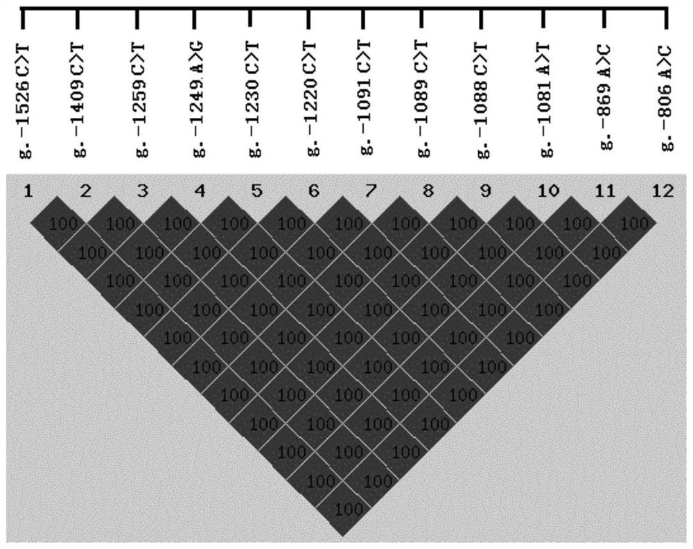 A set of SNP molecular markers for screening and/or detecting the abnormality rate of spermatozoa in breeding bulls