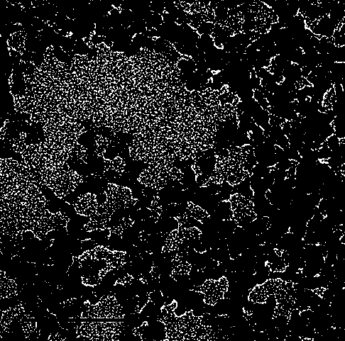 High-specific-surface-area mesoporous methylsilsesquioxane aerogel block and preparation method thereof