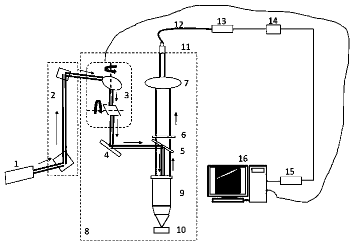 Multi-photon exited near-infrared II fluorescence scanning micro-imaging system