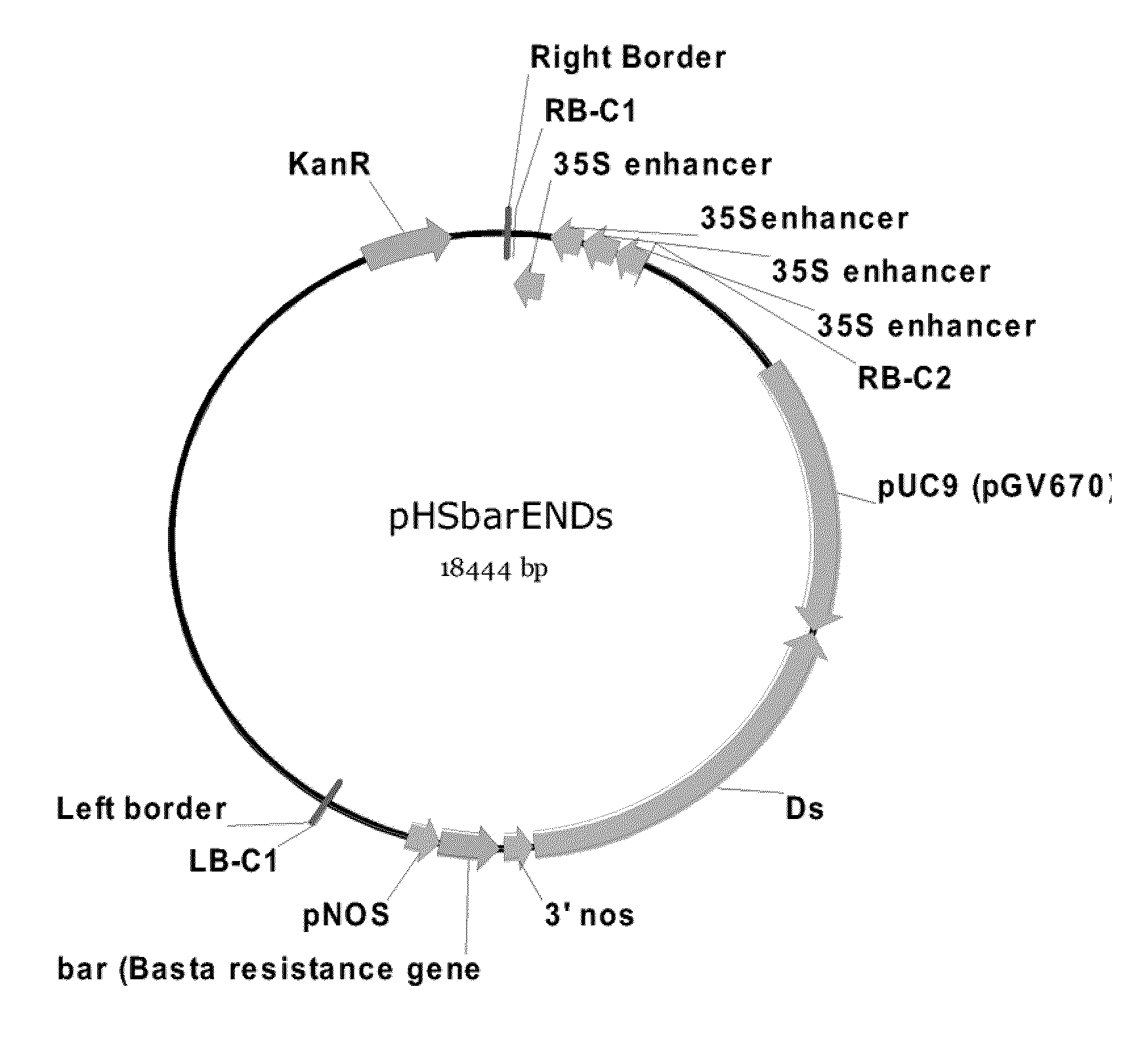 Plants With Altered Root Architecture, Related Constructs and Methods Involving Genes Encoding Leucine Rich Repeat Kinase (LLRK) Polypeptides and Homologs Thereof