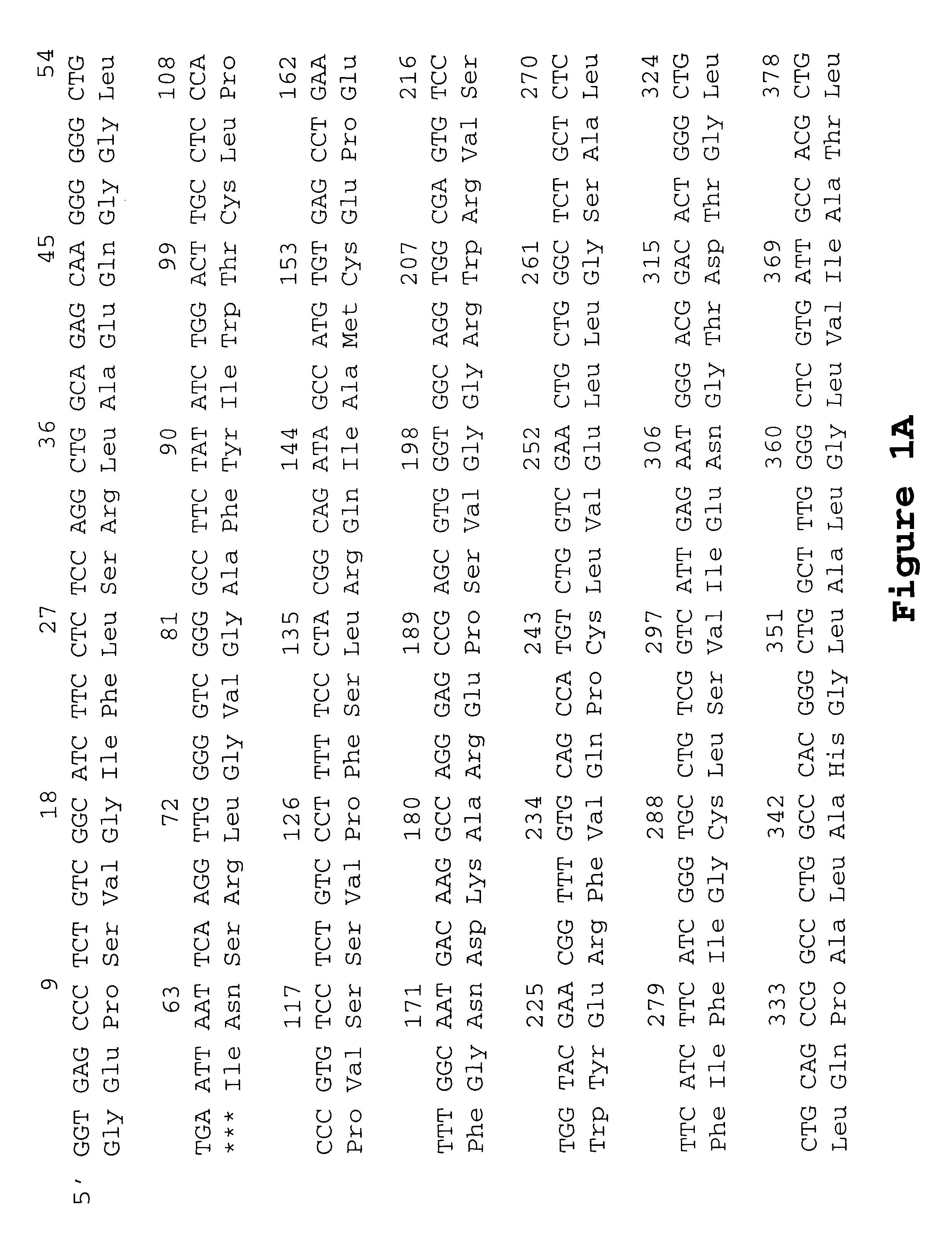 Aquaporin-8 variant