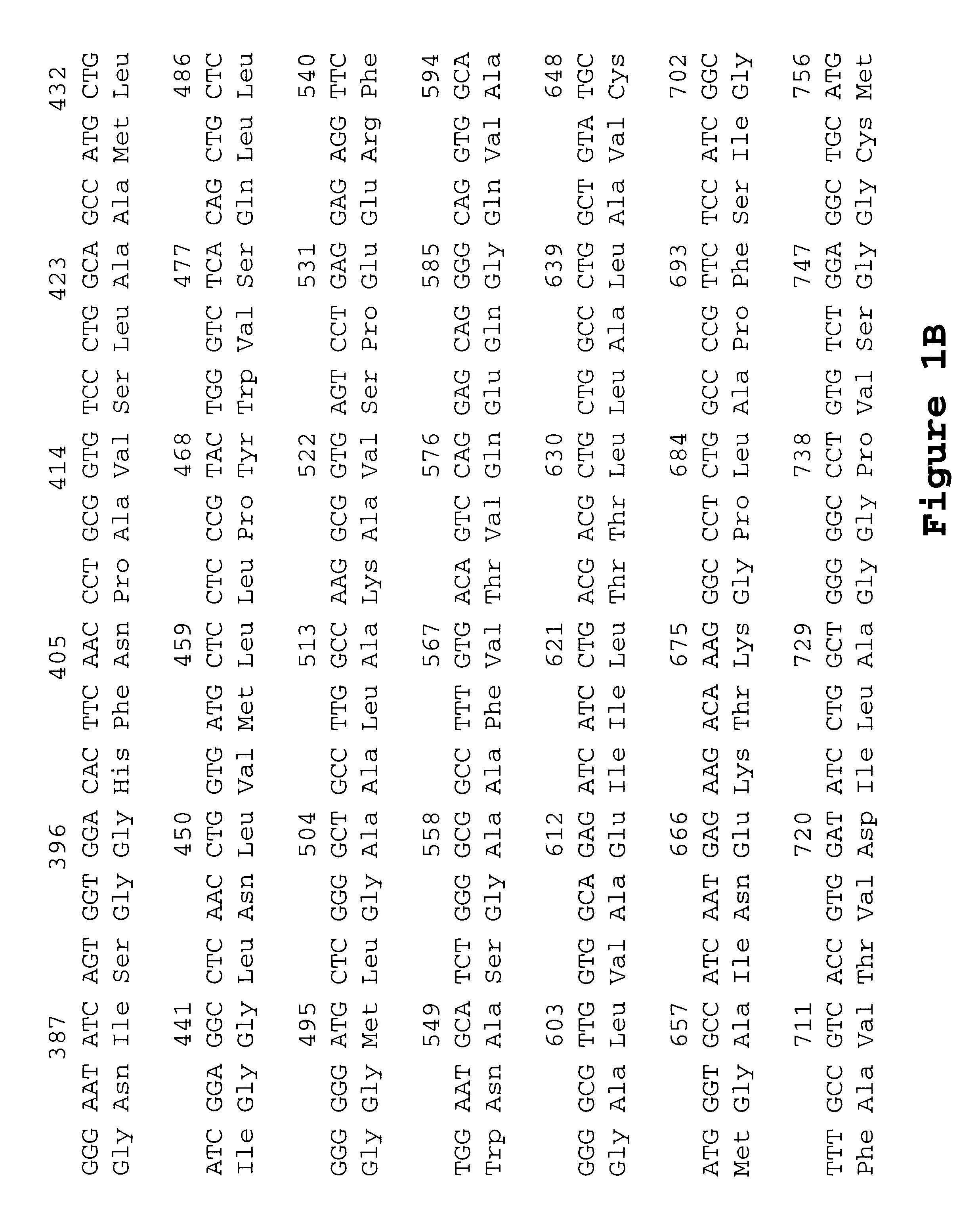 Aquaporin-8 variant