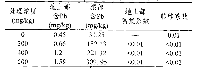 Pb-pollution soil safe production method by utilizing low Pb-accumulation Chinese cabbage qiu'ao