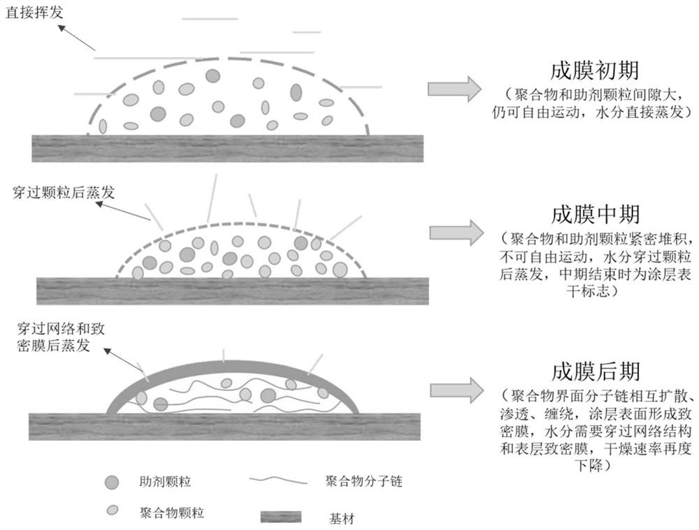 A kind of quick-drying bio-based water-based polyurethane coating based on stimulus response mode and preparation method thereof