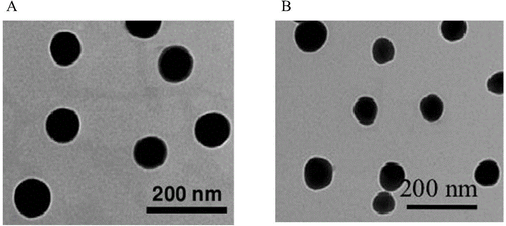 Long-acting nanometer composite peptide resistant to II-type diabetes and preparing method and application of long-acting nanometer composite peptide