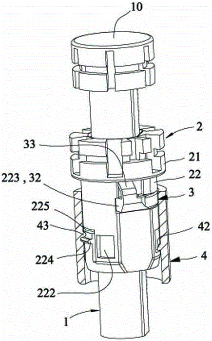 The structure of the lower nest of the umbrella