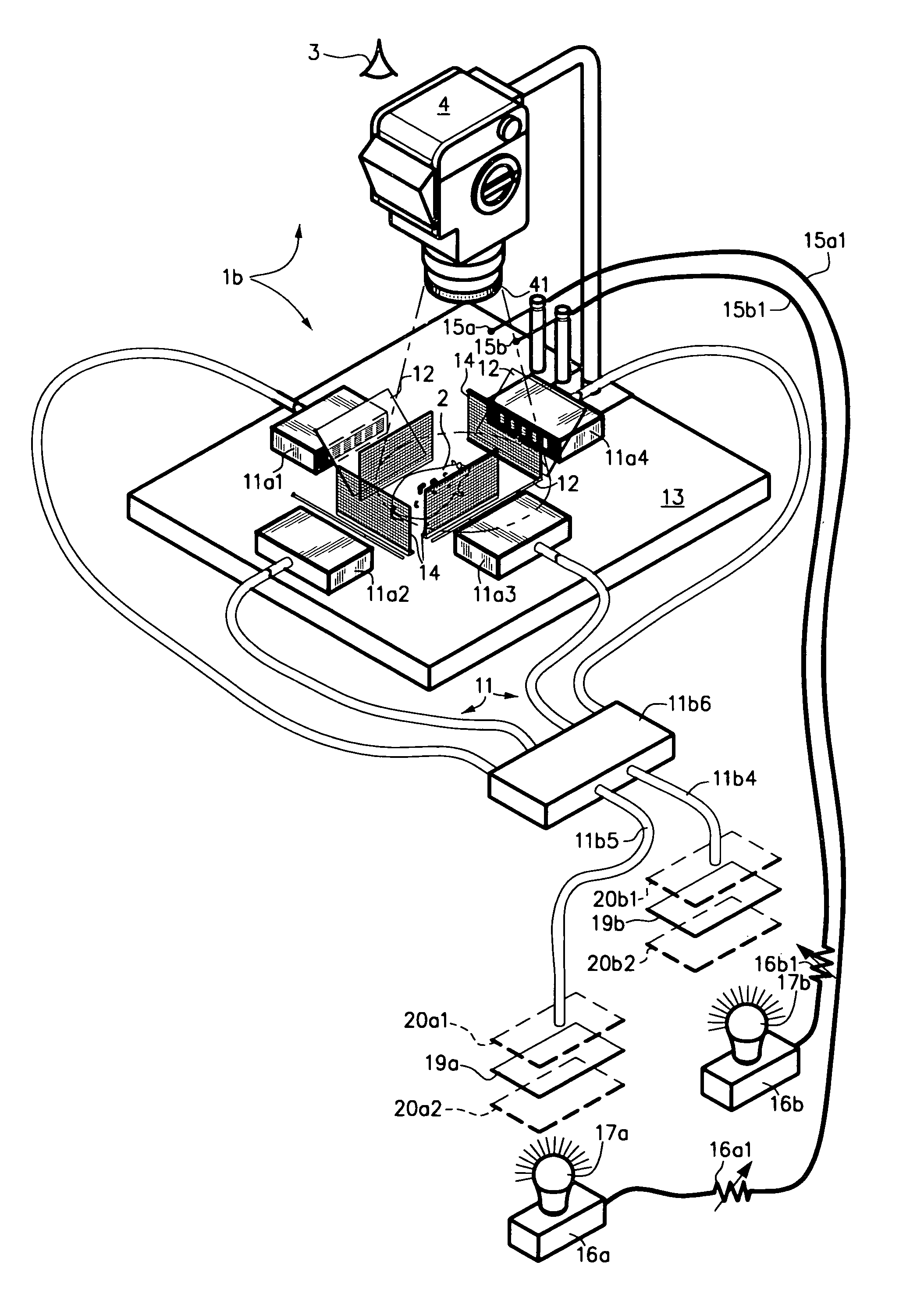 Fluorescent image calibration step wedge, and use thereof in illumination for fluorescent imaging and automatic exposure