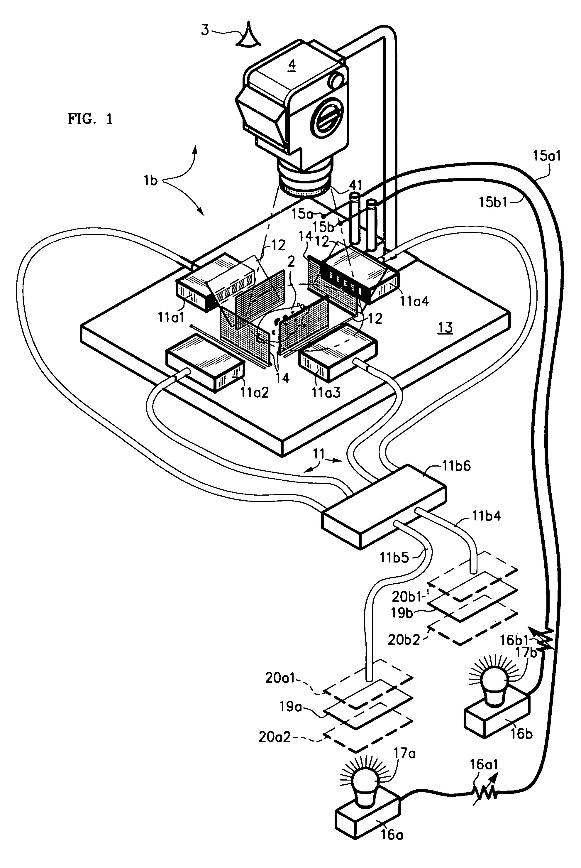 Fluorescent image calibration step wedge, and use thereof in illumination for fluorescent imaging and automatic exposure