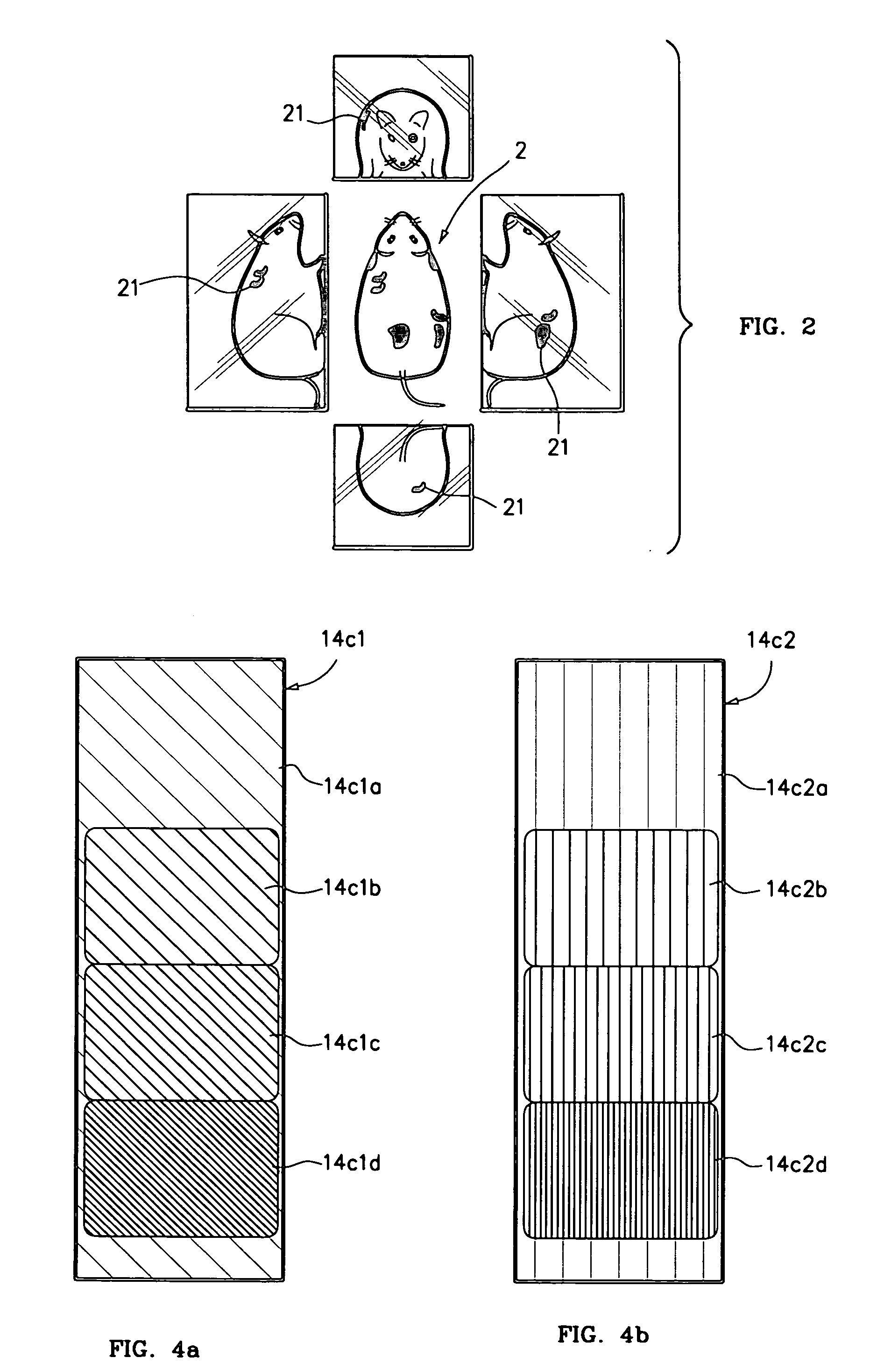 Fluorescent image calibration step wedge, and use thereof in illumination for fluorescent imaging and automatic exposure