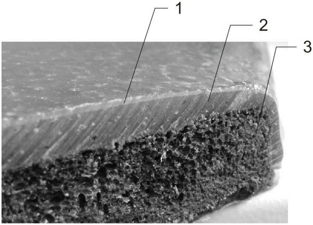 Preparation method for self-repairing coating material and application thereof