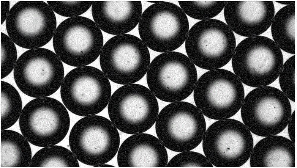 Microfluidic one-step synthesis method of chitosan microspheres for heavy metal wastewater treatment