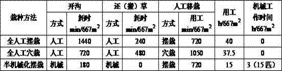 Method for semi-mechanically transplanting rice stubble rapes under condition of returning all straws