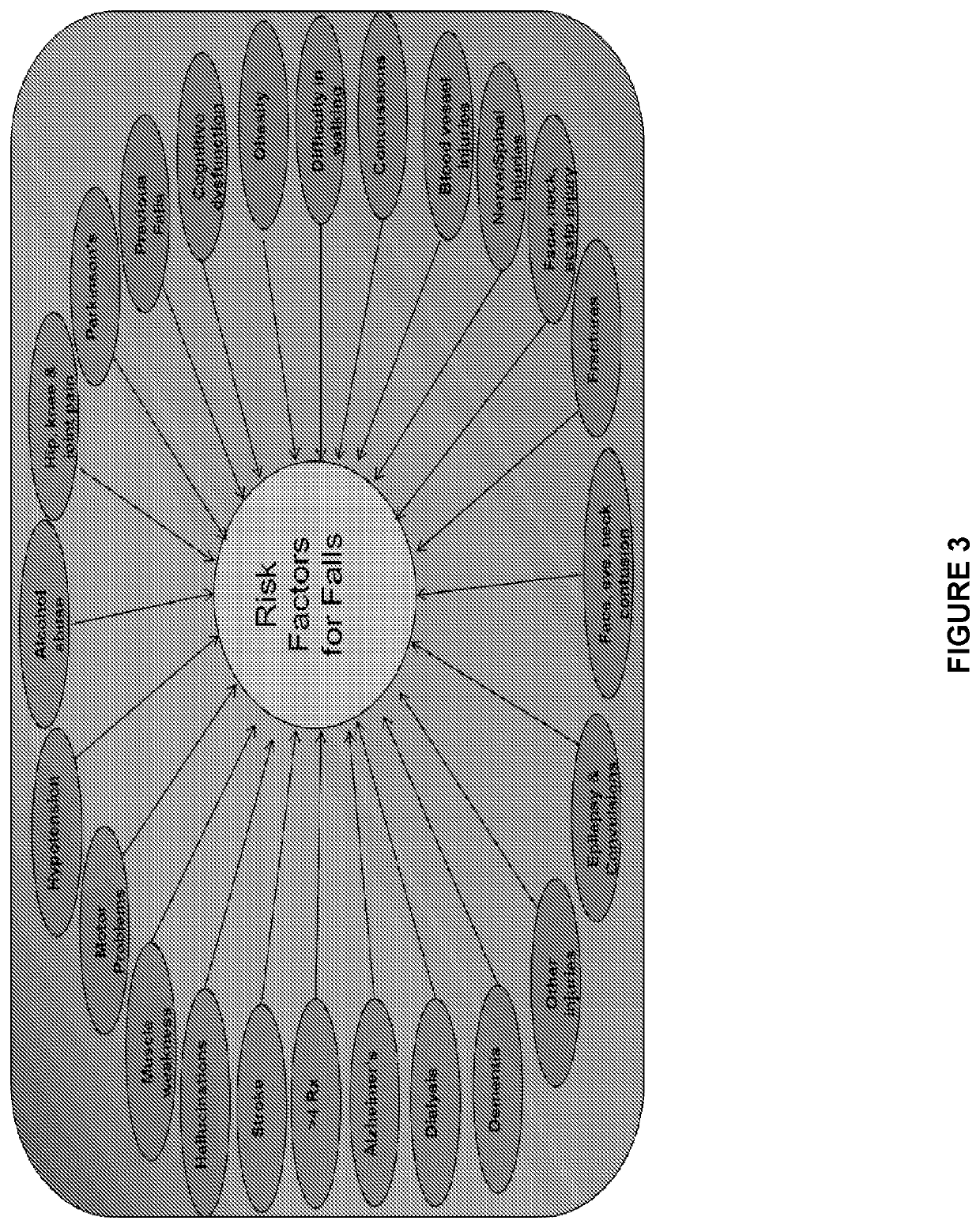 Computerized system and method for identifying members at high risk of falls and fractures