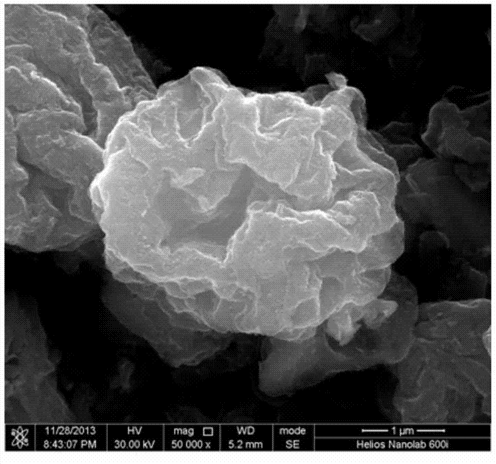 Preparation method of peach-kernel-shaped SnO2-graphene-carbon composite material for lithium ion battery